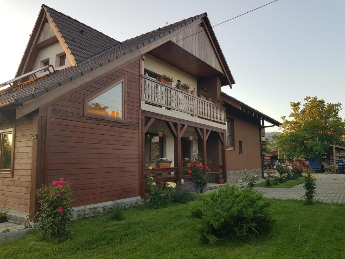 Pensiunea Rares Bistrita Bargaului Buitenkant foto