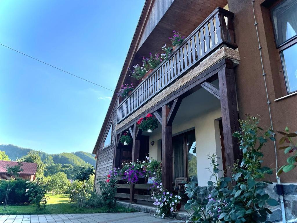Pensiunea Rares Bistrita Bargaului Buitenkant foto