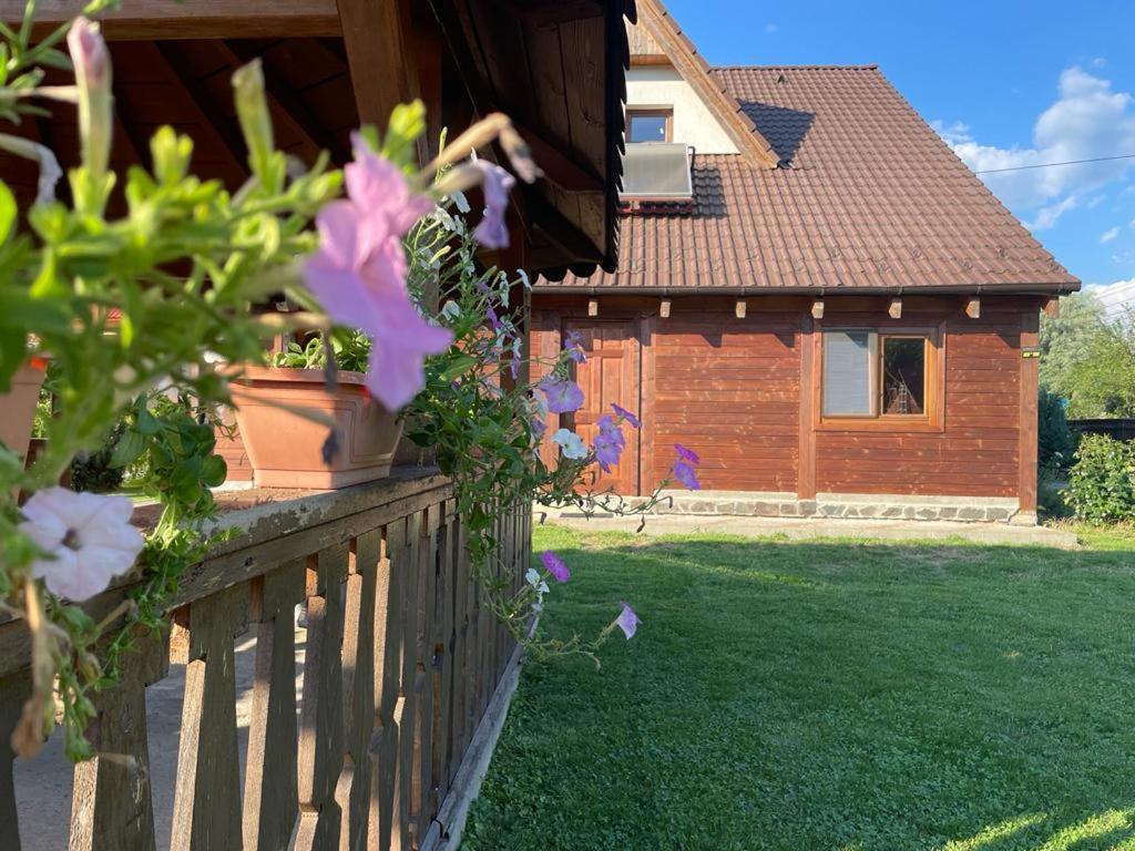 Pensiunea Rares Bistrita Bargaului Buitenkant foto