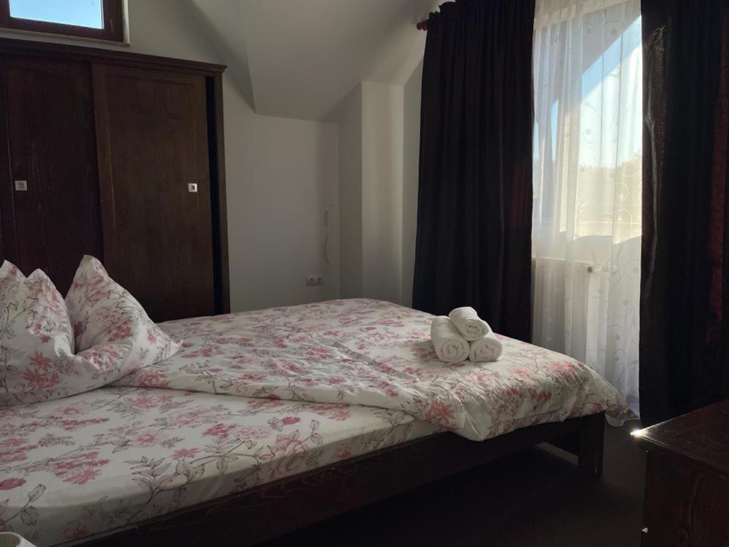 Pensiunea Rares Bistrita Bargaului Buitenkant foto